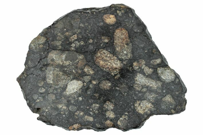 L-Melt Chondrite Meteorite Slice ( g) - NWA #263246